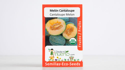 Cantaloupe Melon Seed