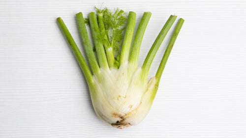 Fennel bulb