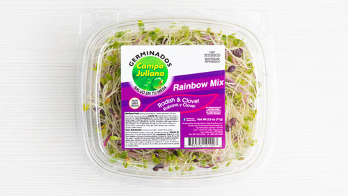 Rainbox mix sprouts